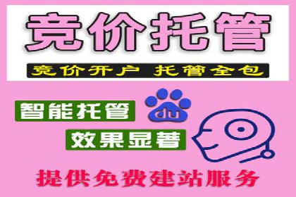 某行业sem竞价开户的经典案例剖析